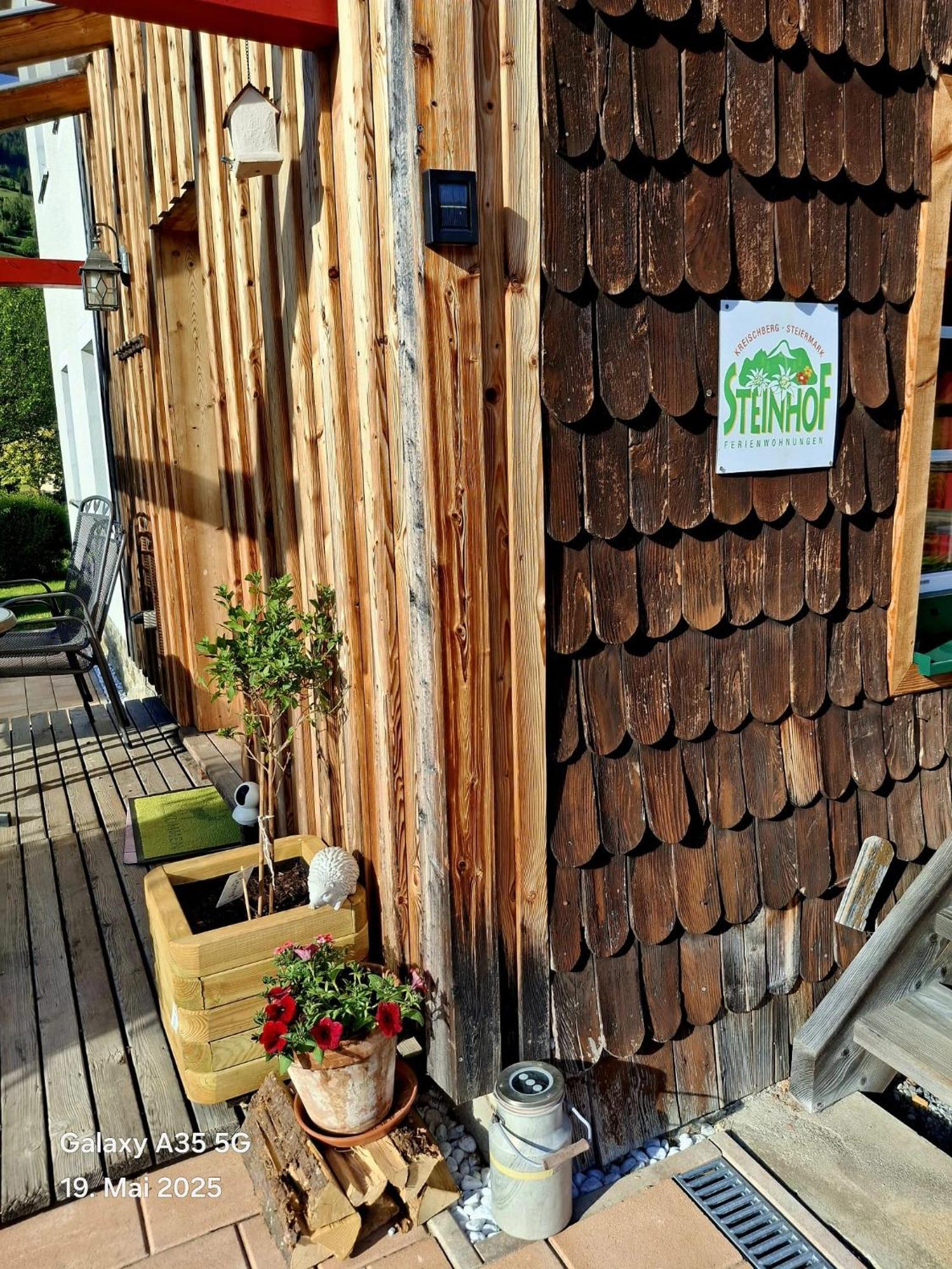 Haus Steinhof Villa Sankt Lorenzen ob Murau Exteriör bild