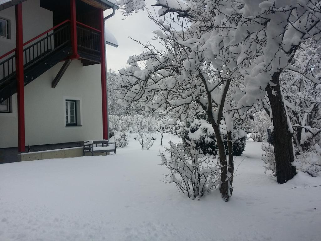 Haus Steinhof Villa Sankt Lorenzen ob Murau Exteriör bild