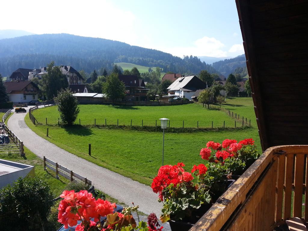 Haus Steinhof Villa Sankt Lorenzen ob Murau Exteriör bild