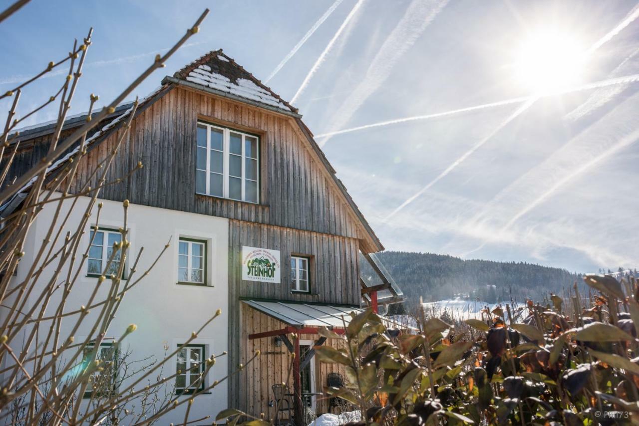 Haus Steinhof Villa Sankt Lorenzen ob Murau Exteriör bild