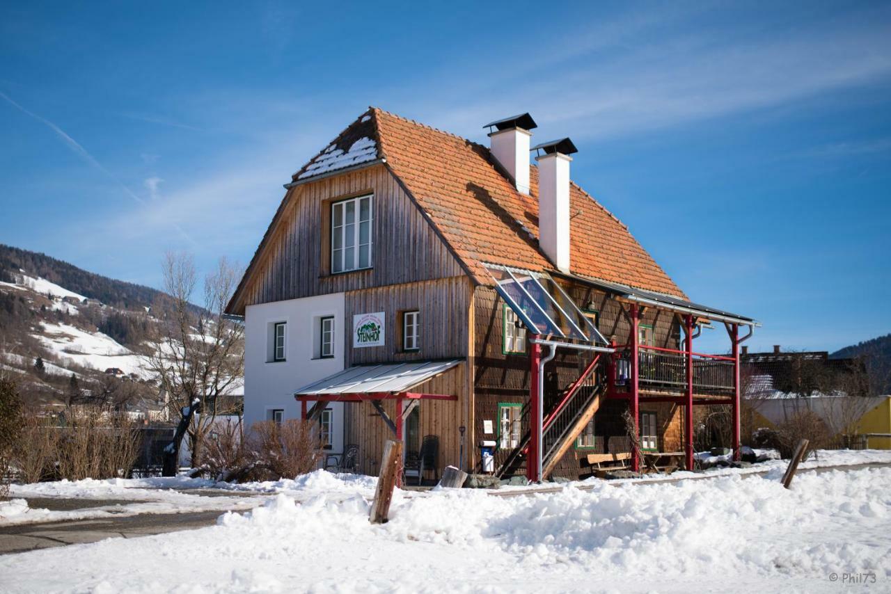 Haus Steinhof Villa Sankt Lorenzen ob Murau Exteriör bild